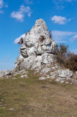 Gora Zborow (Berkowa Gra) - Iskie Voyvoda 'nın Podlesice köyünde kayalık bir tepe. Peyzaj