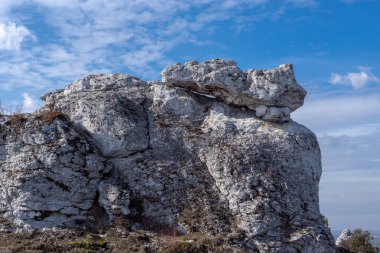 Gora Zborow (Berkowa Gra) - Iskie Voyvoda 'nın Podlesice köyünde kayalık bir tepe. Peyzaj