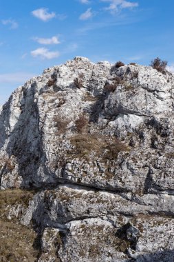 Gora Zborow (Berkowa Gra) - Iskie Voyvoda 'nın Podlesice köyünde kayalık bir tepe. Peyzaj