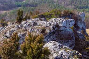 Gora Zborow (Berkowa Gra) - Iskie Voyvoda 'nın Podlesice köyünde kayalık bir tepe. Peyzaj