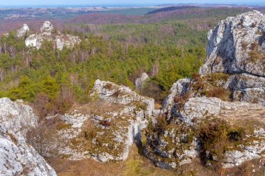Gora Zborow (Berkowa Gra) - Iskie Voyvoda 'nın Podlesice köyünde kayalık bir tepe. Peyzaj