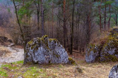 Gora Zborow (Berkowa Gra) - Iskie Voyvoda 'nın Podlesice köyünde kayalık bir tepe. Peyzaj