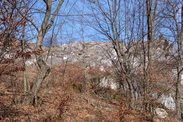 Gora Zborow Berkowa Gra Rocky Hill Village Podlesice Lskie Voivodeship — Stock Photo, Image