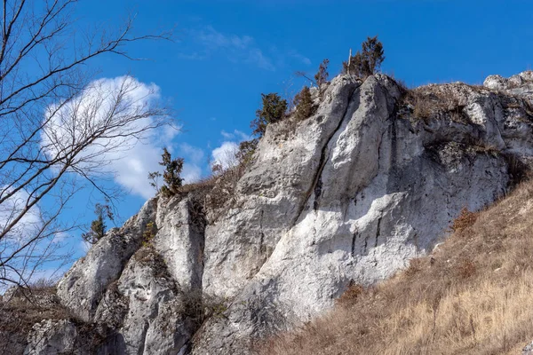 stock image Gora Zborow (Berkowa Gra) - a rocky hill within the village of Podlesice in the lskie Voivodeship. Landscape