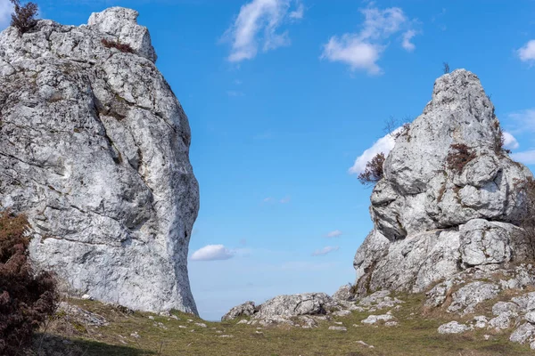 Gora Zborow (Berkowa Gra) - Iskie Voyvoda 'nın Podlesice köyünde kayalık bir tepe. Peyzaj