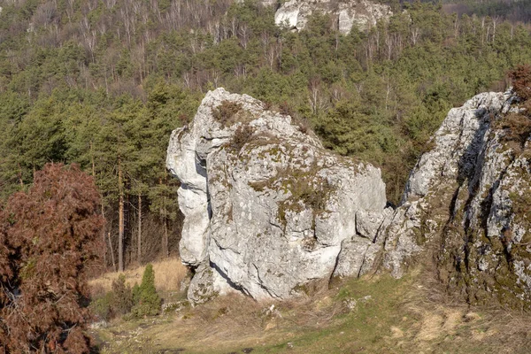 Gora Zborow Berkowa Gra Rocky Hill Village Podlesice Lskie Voivodeship — Stock Photo, Image