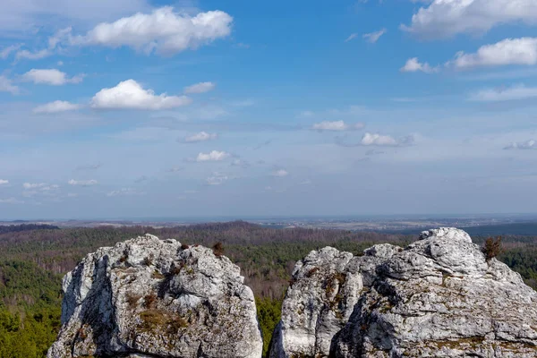 Gora Zborow (Berkowa Gra) - Iskie Voyvoda 'nın Podlesice köyünde kayalık bir tepe. Peyzaj