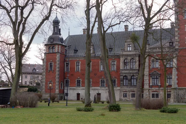 Plawniowice Poland March 2020 Palace Park Complex Plawniowice Park — Stockfoto