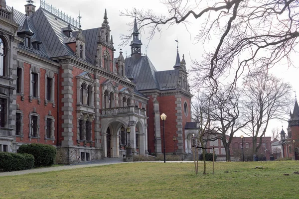 Plawniowice Poland March 2020 Palace Park Complex Plawniowice Park — Stockfoto