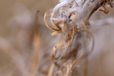 Szombierki Isı ve Elektrik Santrali (Almanca: Kraftwerk Oberschlesien, Kraftwerk Bobrek,