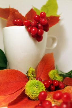 Çiçekli ve yapraklı beyaz bardak.