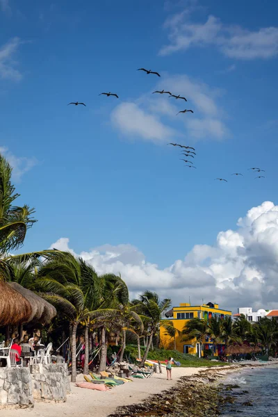 Akumal beach in Quintana Roo, Yucatán, México — Foto de Stock