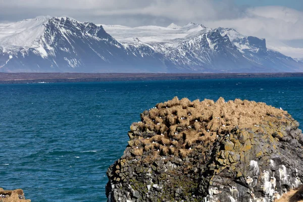 Parc national Snaefellsjokull en Islande — Photo