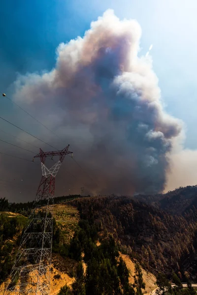Pożar lasu w pobliżu Coimbra, Portugalia — Zdjęcie stockowe