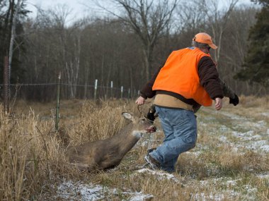 Deer Hunter in Minnesota clipart
