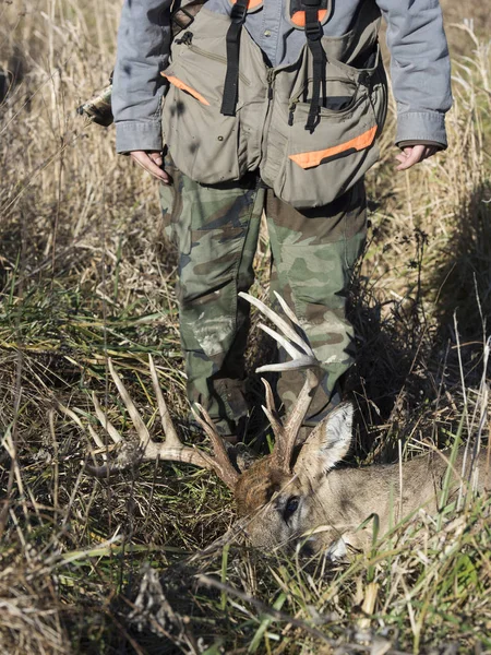 Trophy Whitetail Buck Harvested Iowa — Stock Photo, Image