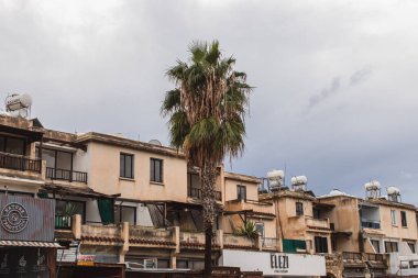 PAPHOS, CYPRUS - 31 Mart 2020: Bulutlu gökyüzüne karşı binaların yanındaki yeşil palmiye ağacı 
