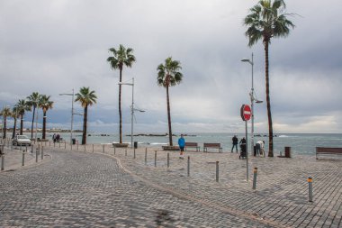 PAPHOS, CYPRUS - 31 Mart 2020: İnsanların yakınında palmiye ağaçları olan deniz kıyısı 