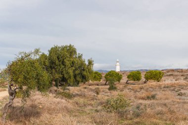 yeşil ağaçlar ve paphos içinde eski deniz feneri 