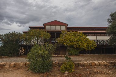 Binanın yanındaki yeşil ağaçlar bulutlu gökyüzüne karşı 