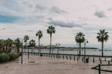 Akdeniz yakınlarındaki tropik palmiye ağaçları bulutlu gökyüzüne karşı 