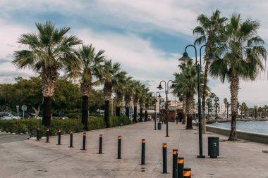 PAPHOS, CYPRUS - 31 Mart 2020: yeşil palmiye ağaçları ve Akdeniz kıyısındaki sokak lambaları