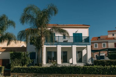 Modern evlerin yanındaki yeşil palmiye ağaçları mavi gökyüzüne karşı
