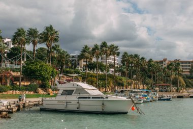 Akdeniz 'de modern yatların yanındaki palmiye ağaçları