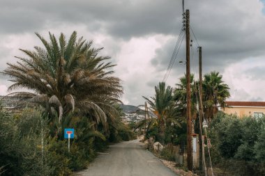 Gri ve bulutlu gökyüzüne karşı yol kenarındaki palmiye ağaçlarında yeşil yapraklar 