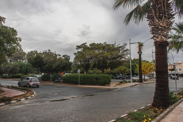 Paphos Chipre Março 2020 Arbustos Verdes Árvores Rua Com Carros — Fotografia de Stock