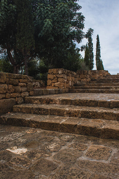старые лестницы возле зеленых деревьев против неба с облаками
 