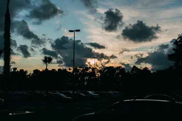 Voitures Sur Parking Moderne Pendant Coucher Soleil Dans Soirée — Photo