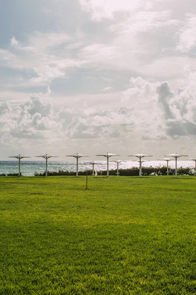 Green Fresh Grass Outdoor Umbrellas Sea — Stock Photo, Image