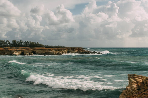 trees on coastline near mediterranean sea against sky with white clouds 