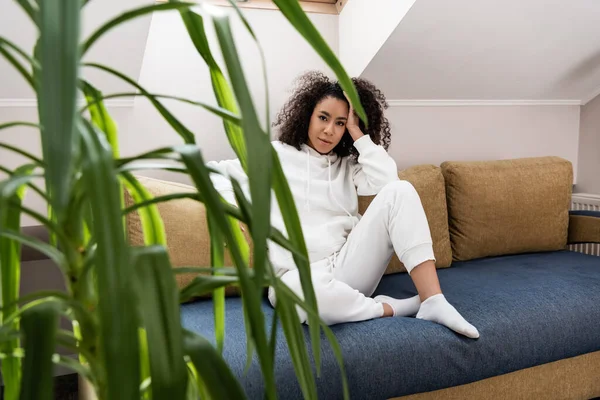 Selective Focus Young African American Woman Sitting Sofa Plant — Stock Photo, Image