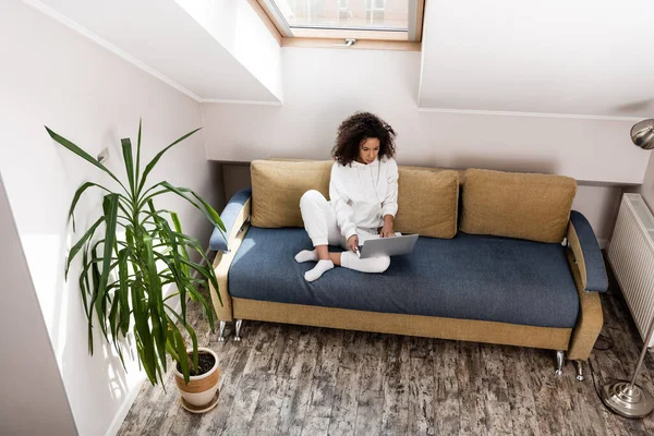 Young African American Freelancer Sitting Sofa Green Plant Using Laptop — Stock Photo, Image