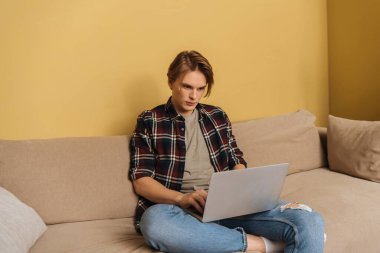 Oturma odasında dizüstü bilgisayar kullanan yakışıklı bir serbest yazar. 