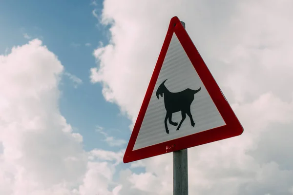 Triangle goat warning sign against sky with clouds — Stock Photo