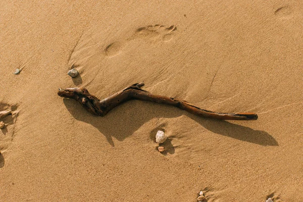Vue de dessus du bâton sur la plage de sable — Photo de stock