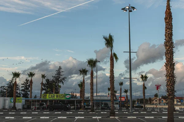 PAPHOS, CHYPRE - 31 MARS 2020 : station de lavage près de la voiture et des palmiers verts — Photo de stock