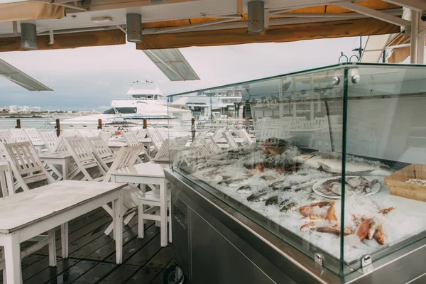 Frozen fish in fridge near tables and chairs in restaurant — Stock Photo