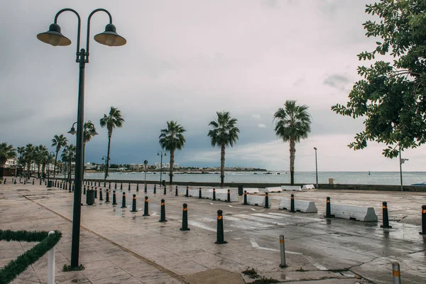 Straßenlaterne nahe grünen Palmen und Meer — Stockfoto