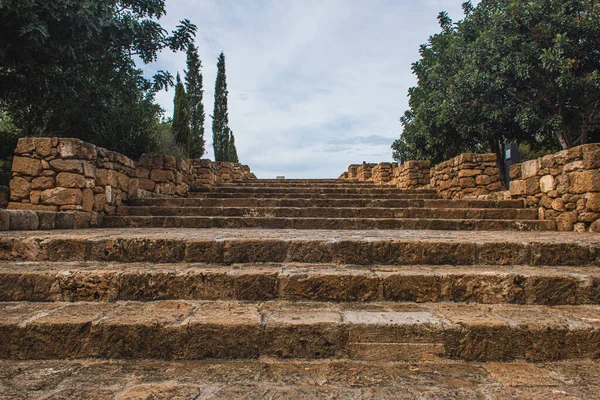 Ancient stairs near green trees against sky with clouds — Stock Photo