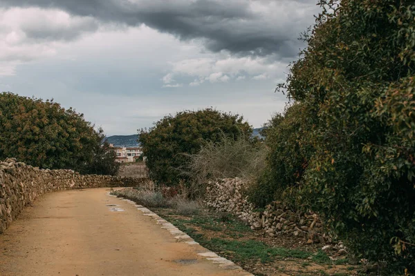 Walkway near green trees against sky with clouds — Stock Photo