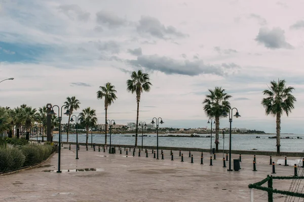 Tropische Palmen am Mittelmeer gegen wolkenverhangenen Himmel — Stockfoto
