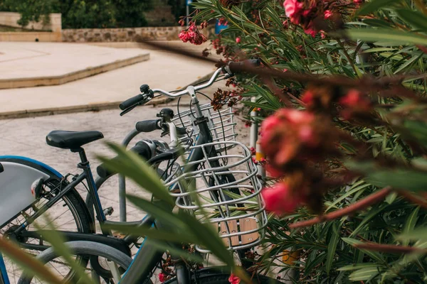 Enfoque selectivo de la bicicleta cerca de flores en flor - foto de stock