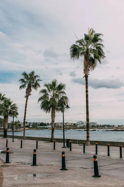 Palme verdi vicino al mare mediterraneo contro il cielo con le nuvole — Foto stock