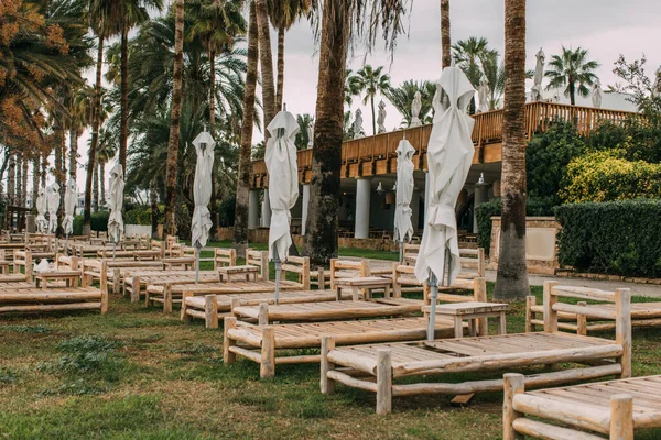 Зелені пальми біля дерев'яних стільців палуби та відкритих парасольок — стокове фото