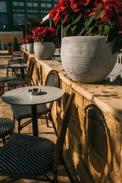 Selective focus of plants in flowerpots near tables and chairs on terrace — Stock Photo