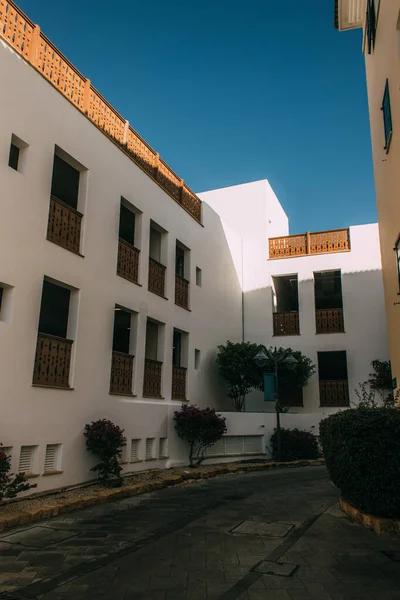 Arbres verts près du bâtiment blanc et moderne à Cyprus — Photo de stock